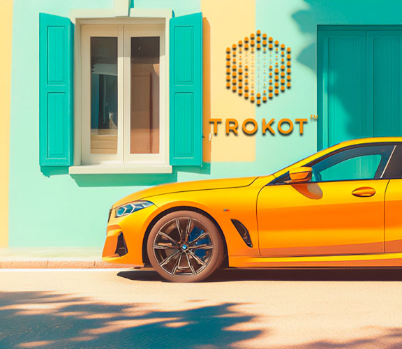 Кейс Сайт виробника аксесуарів у Білорусі Trokot BY